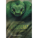 The Outcast