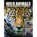 Wild Animals: Strange, Dangerous & Wonderful
