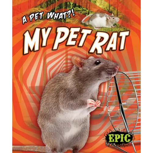 My Pet Rat