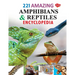 221 Amazing Amphibians & Reptiles Encyclopedia