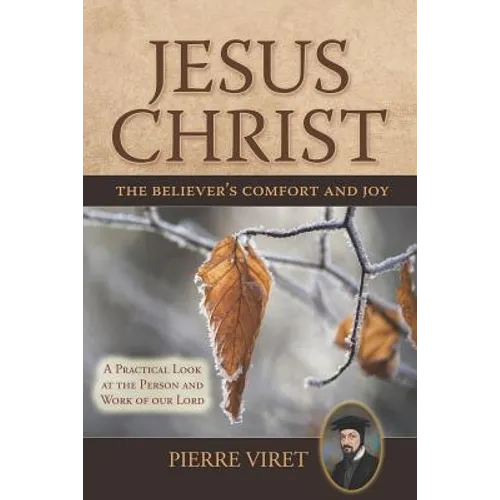 Jesus Christ the Believer's Comfort and Joy: A Practical Look at the Person and Work of our Lord