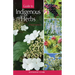 Guide to Indigenous Herbs: of North America