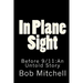 In Plane Sight: Before 9/11: An Untold Story
