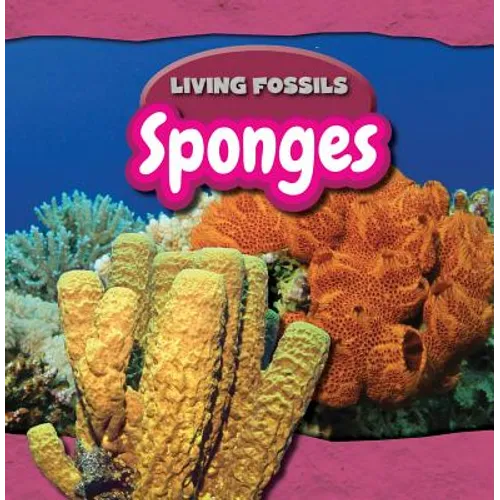 Sponges