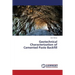 Geotechnical Characterization of Cemented Paste Backfill