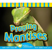 Praying Mantises