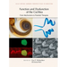 Function and Dysfunction of the Cochlea: From Mechanisms to Potential Therapies