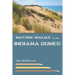 Nature Walks in the Indiana Dunes
