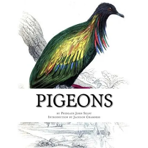 Pigeons: Pigeon Classics Book 9