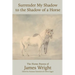 Surrender My Shadow to the Shadow of a Horse