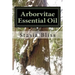 Arborvitae Essential Oil: The Generous Tree of Life