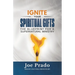 Ignite Your Spiritual Gifts: The Blueprint for a Supernatural Ministry