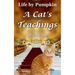 Life by Pumpkin: A Cat's Teachings