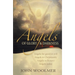 Angels of Glory and Darkness