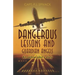 Dangerous Lessons and Guardian Angels: An airline pilot's story
