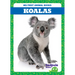 Koalas