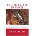 Brook Trout in Dixie