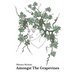 Amongst The Grapevines