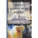 90 Day Shadow Work Journal And Workbook: A Guided Journal With Prompts For The Ultimate Inner Child Healing