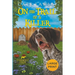 On the Trail of a Killer