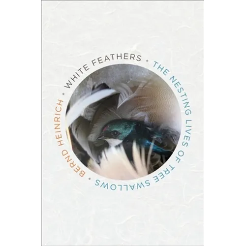 White Feathers: The Nesting Lives of Tree Swallows