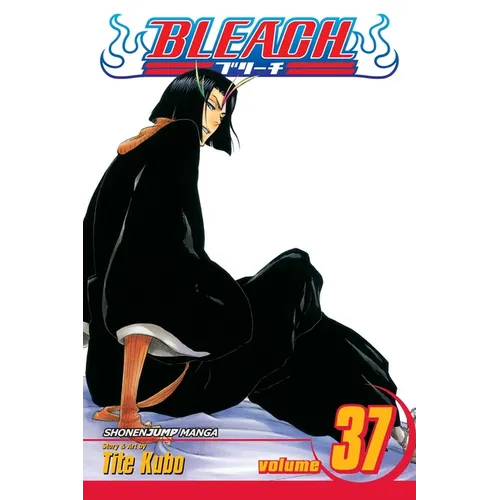 Bleach, Vol. 37: Beauty Is So Solitary