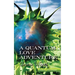 A Quantum Love Adventure