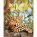 Botswana Self-Drive: Routes, Roads and Ratings