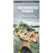 Freshwater Fishes: An Introduction to Familiar North American Species