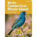 Birds of Connecticut & Rhode Island Field Guide