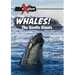 Whales!: The Gentle Giants