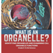 What is an Organelle? Identifying Organelles and Examining Cell Organelle Functions Grade 6-8 Life Science