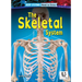 The Skeletal System