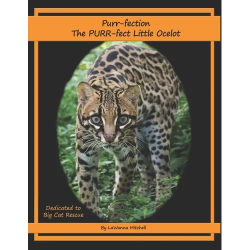 Purr-fection, the PURR-fect Little Ocelot