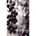 From a Vine