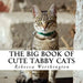 The Big Book of Cute Tabby Cats: A text-free book for Seniors and Alzheimer's patients