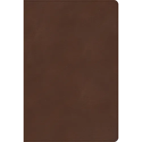 CSB Rainbow Study Bible, Brown Leathertouch