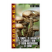 Mushrooms: 20 Simple to Advanced Techniques How To Grow Mushrooms At Home