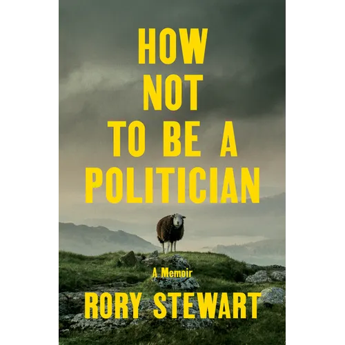 How Not to Be a Politician: A Memoir