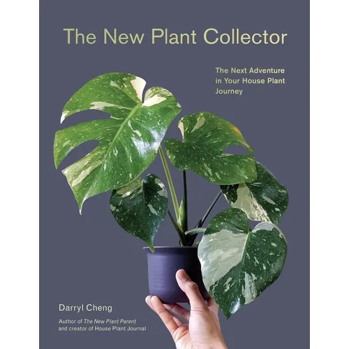 The New Plant Collector: The Next Adventure in Your House Plant Journey