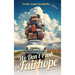 We Don't Push in Fairhope: Stories from the changing South