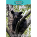Black Bears
