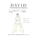 David: From Keeping Sheep to Being King: Book 1 of the Young yet Chosen! Series