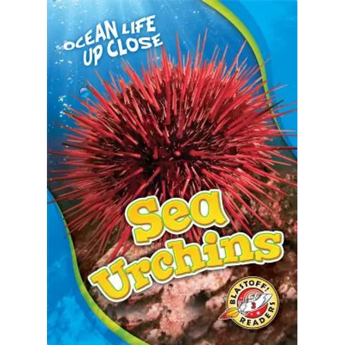 Sea Urchins
