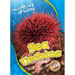Sea Urchins