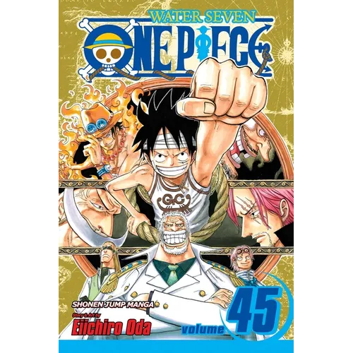 One Piece, Vol. 45: You Have My Sympathies