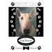 Spot On: Mystery at the Dog Rescue