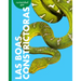 Curiosidad Por Las Boas Constrictoras