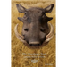 The Warthog's Tusk: A Samuel Kumalo Mystery