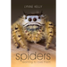 Spiders: Learning to Love Them